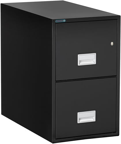 PHOENIX SAFE INTERNATIONAL LLC Vertical 31" 2-Drawer Letter Fireproof File Cabinet, Key Lock, Water Seal, Black LTR2W31B