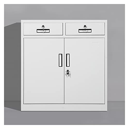 SUNESA File Cabinet with Lock Data Tool Storage - 1 Size