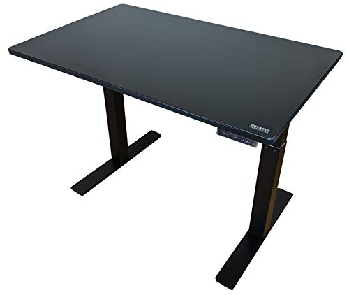 Rise UP Dual Motor Electric Standing Desk 60x30 Black Desktop Premium Ergonomic Adjustable Height sit Stand up Home Office Computer Desk Table Motorized Powered Modern Furniture Small Standup Table