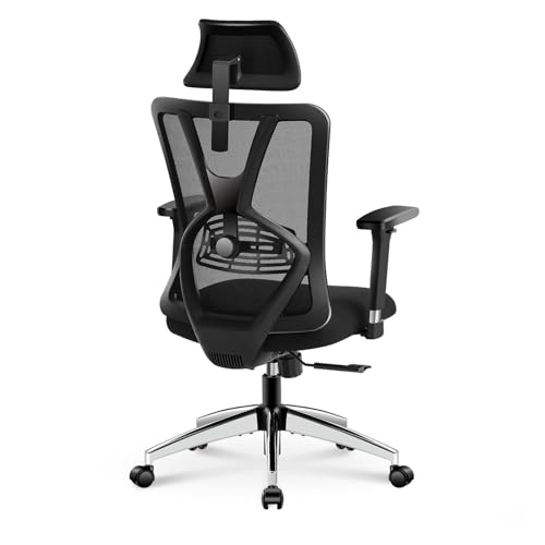 Ticova Ergonomic Office Chair with Adjustable Lumbar Support & 3D Metal Armrest