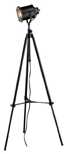Dimond D1735 Ethan Adjustable Tripod Floor Lamp, Restoration Black