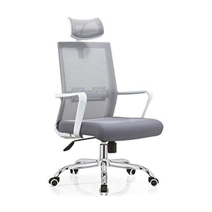 BLLXMX Office Chair Home Office Desk Chairs Ergonomic Desk Computer Chair Mesh Computer Chair with Up Arms Lumbar Support and Mid Back Task Office Chairs Sofas (Color : Gray)