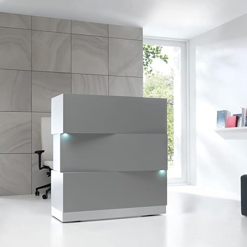 KANSOLE Zen Grey Reception Desk