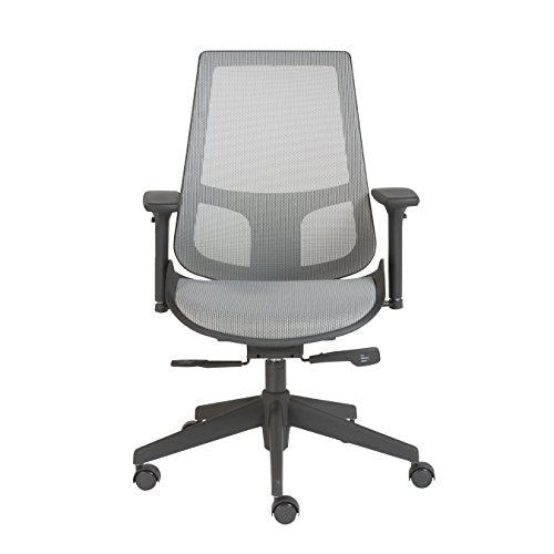 Euro Style Vahn Office Chair, Gray Mesh