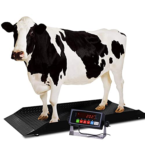 PEC SCALES Large Farm Animal Scale/Digital Livestock Weighing Equipment, 4000 lb Capacity (84x30)
