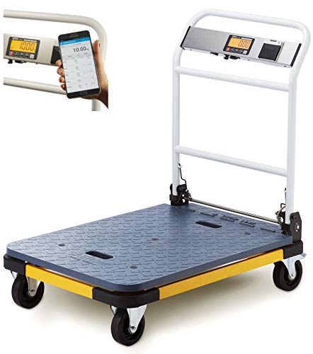 SAEROM® Shipping Scale 660lb x 0.1lb with Printer and USB Port