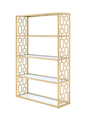 Acme Furniture 92465 Blanrio Etagere Bookshelf, Clear Glass/Gold