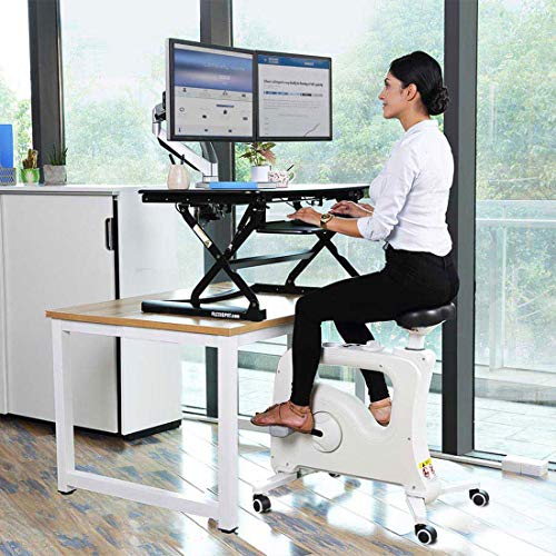 Flexispot Stand up Desk Riser with Under Desk Bike Sit Stand Move Total Solution