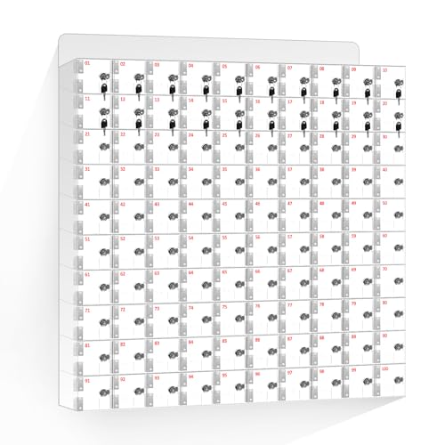 QUARPAL Acrylic Clear Cell Phone Locker Storage Box with Door Locks - Wall Mounted (100)