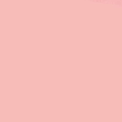 Pack of 100 Polypropylene Binding Cover, 0.45 mm Thick, Format A4, Pastel Pink