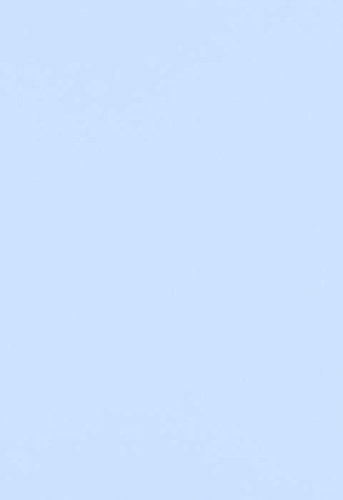 LUXPaper 13" x 19" Cardstock | Baby Blue | 100lb. Cover | 50 Qty