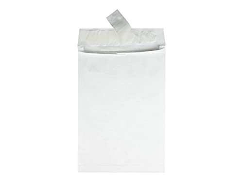 Survivor R4500 Tyvek Open-End Envelope,Plain,10-Inch x13-Inch x1-1/2-Inch,100/CT,White