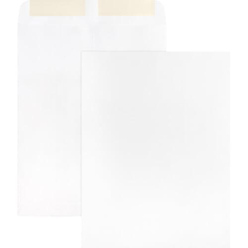 Business Source Large Format/Catalog Envelopes Catalog Envelope, 9"x12" (42102), White