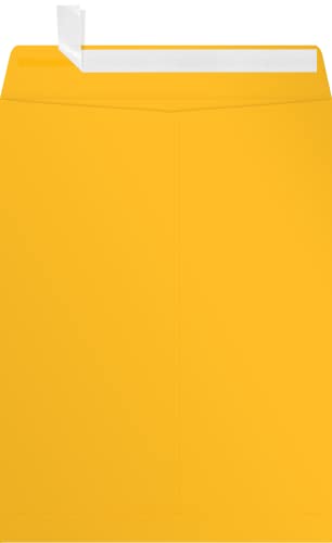LUXPaper 9 x 12 Open End Envelopes | Peel & Press | Sunflower Yellow | 80lb. Text | 500 Qty