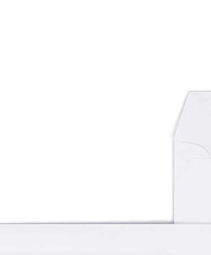 Staples Double-Window Business Envelopes, White, 9x4.2, 1000/Pk