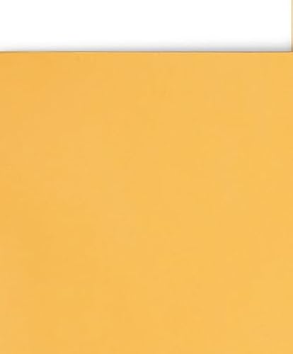 Staples 10x15 Kraft Clasp Envelopes, Brown, Extra-Large, 10/Pack