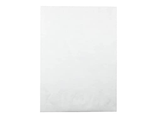 Survivor R4500 Tyvek Open-End Envelope,Plain,10-Inch x13-Inch x1-1/2-Inch,100/CT,White