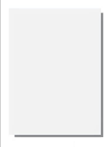 Federal Security Mandated 5-Feature Laser-Print Business Forms w Bottom Hrz Perforation, Off-White 8.5" x 11" 24-lb Paper (SGP-24-R) - Case of 2500 Sheets
