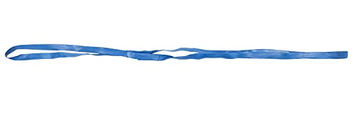 Mytee Products Large Moving Rubber Bands (48 Pack) - 36" Unstretched - 72" Fully Stretched - Blue Rubber Mover Bands for Pallets, Moving Blankets, Moving Supplies, Boxes, Furniture, TV Bed Dresser