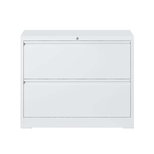 ZRongartlab 2 Drawer File Cabinet with Lock, lateral File cabinets
