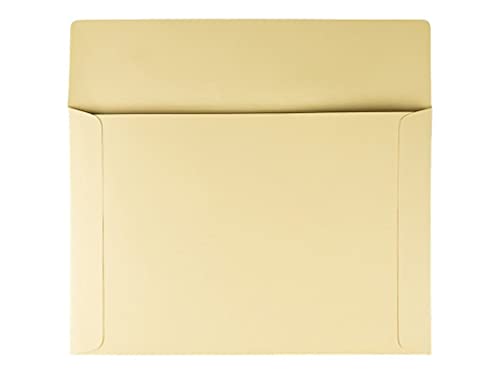 Quality Park, Filing Envelopes, Ungummed, Cameo Buff, 10x14.75, 100 per box (89606)