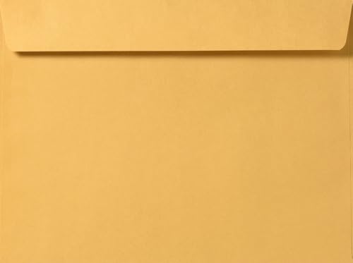 LUXPaper Booklet Envelopes | 10" x 15" | Brown Kraft | 28lb. Text | 50 Qty