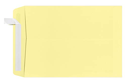 LUXPaper 9" x 12" Open End Envelopes for 8 1/2 x 11 Letters in 80lb. Lemonade, for Bulk Items, Inventory Items, Catalogs, and More w/Peel & Press, 500 pack (Lemonade)