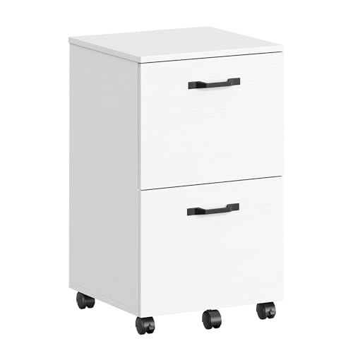 VASAGLE 2-Drawer File Cabinet, Small Rolling Filing Cabinet