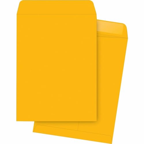 Business Source Large Format/Catalog Envelopes Catalog Envelope, 9"x12" (42104)