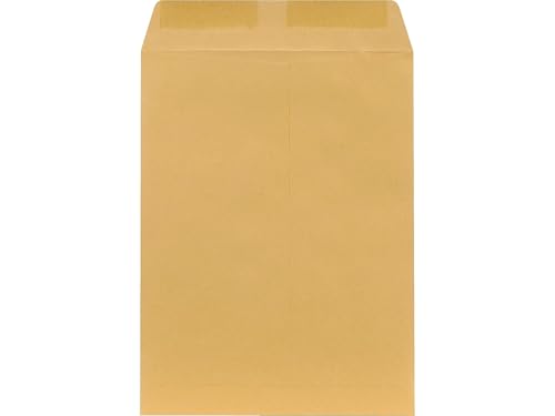 Staples 9x12 Brown Kraft Catalog Envelopes, Gummed Seal, 25/Pack