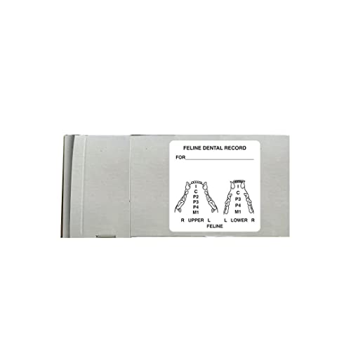 Veterinarian Feline Dental Examination Stickers, Doctor Stuff Veterinarian Stickers, 2-1/2" x 2-1/2", White, 390/Roll, Tabbies Veterinary V-AN411