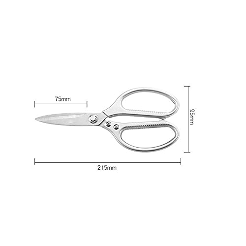 DSWMY Craft Scissors, Craft Scissors Embroidery Stainless Steel for Needlework Artwork and Everyday Use
