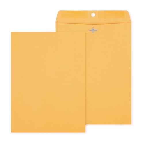 Staples 9x12 Kraft Clasp Envelopes, Brown Manila, 250/Pack