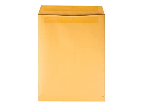 Quality Park 43762 Redi-Seal Envelope, Plain, 28Lb, 10-Inch x13-Inch, 250/BX, Kraft