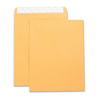 Business Source Catalog Envelope (42121)