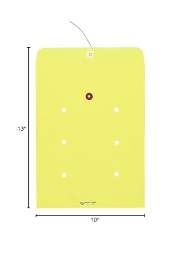 Quality Park Standard Style Inter-Department Envelope (63576)
