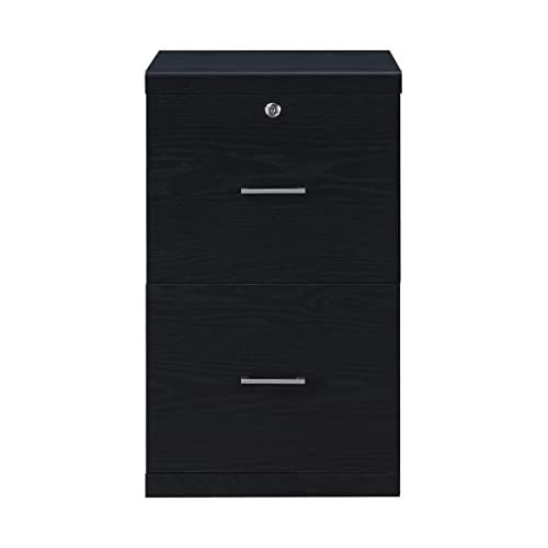 OSP Home Furnishings Alpine 2-Drawer File Cabinet with Locking Top Drawer and Lockdowel Fastening System, Vertical, Black