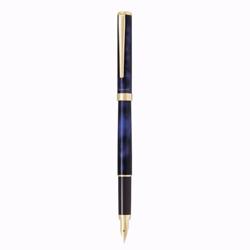 Pilot Marble Fountain Pen, Black&Blue (FCAN-5SR-BL-F)