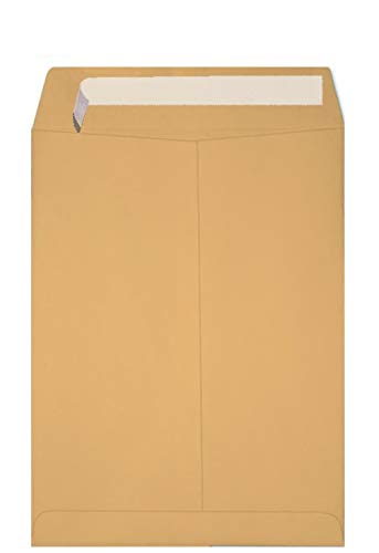6X9 Catalog Envelopes - 28lb BROWN KRAFT - Peel to Seal - (6 x 9) - 500 PK