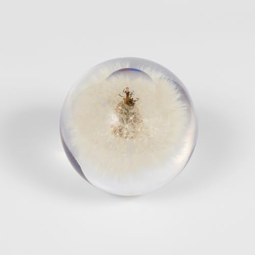 NouvoCrescent Real Dandelion Paperweight - Home Decor Crystal Resin Ball 3.14in (80mm), Clear Resin Dandelion Flower Globe for Special Days, Sphere Figurine Office Paperweight w/Flat Bottom