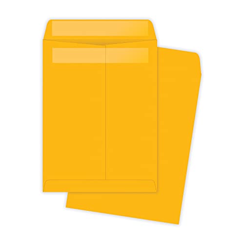 QUA43662 - Redi-Seal Catalog Envelope