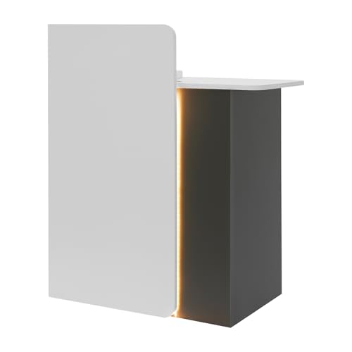 CeRaBuRET Reception Desk with LED Light and 2 Locking Drawers, Modern Front Desk Reception Room Table with Cable Hole, 31.5in Retail Counter for Checkout, Lobby, Beauty Salon