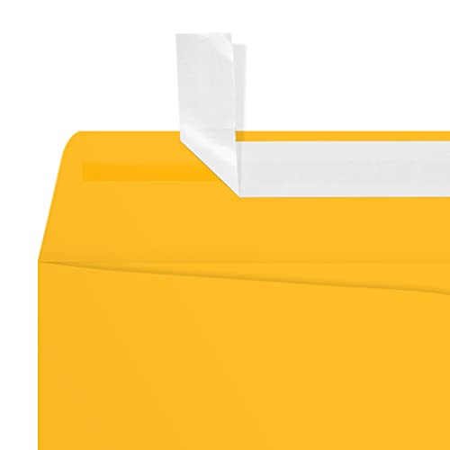 LUXPaper 9 x 12 Open End Envelopes | Peel & Press | Sunflower Yellow | 80lb. Text | 500 Qty