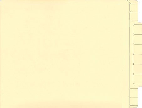 File Folder Extended Tab - Plain Qty. 500