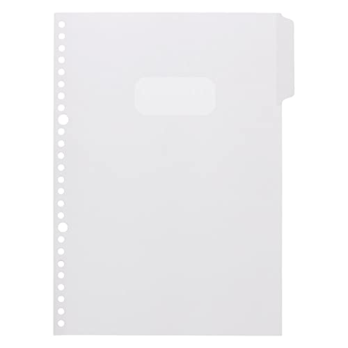 Sun-Star Stationery S2136422 Binder, Loose Leaf, Mitte Pale Green