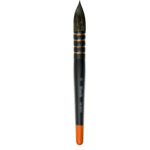 JSEIAJB Watercolor Art Brushes Artist Brushes with Wooden Handles