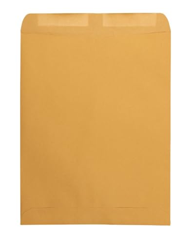 Quality Park Catalog Mailing Envelopes, 11-1/2 x 14-1/2 Envelopes, Gummed, Heavy 28 lb. Kraft Paper, for Mailing, Organizing and Storage, 250 per Box (QUA41865), Light Brown