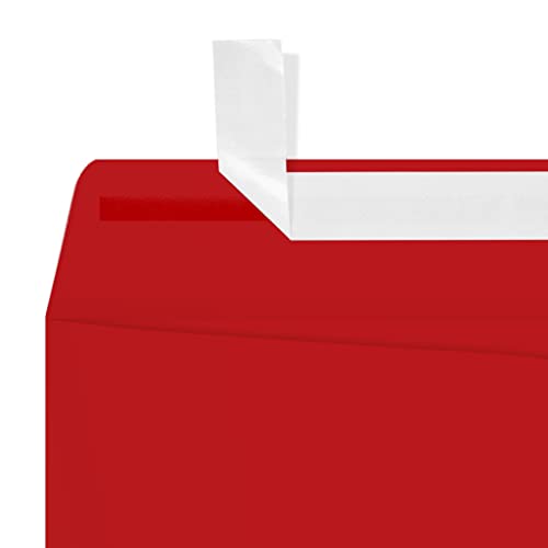 LUXPaper 9 x 12 Open End Envelopes | Peel & Press | Ruby Red | 80lb. Text | 250 Qty