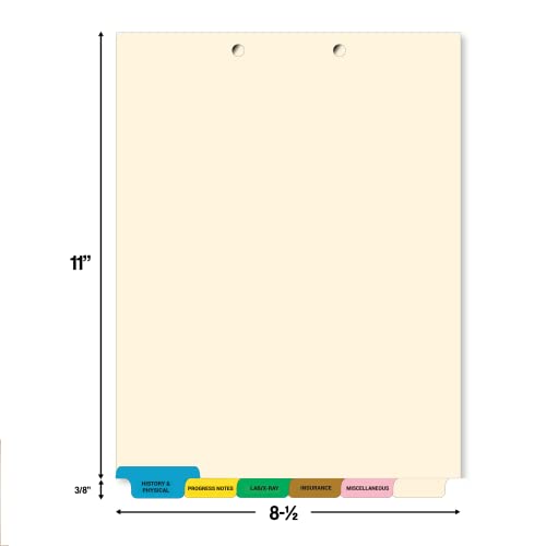 Bottom Tab Medical Chart Dividers, Set of 6, Color-Coded, 2 Boxes/130 Sets
