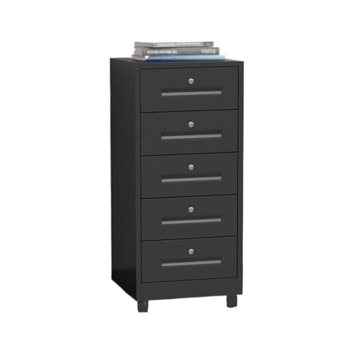 Cabinet File Cabinet Study Storage Cabinet for Living Room 5 Layer Large Capacity File Cabinet Office Data Organizer Acer Plate Storage Cabinet